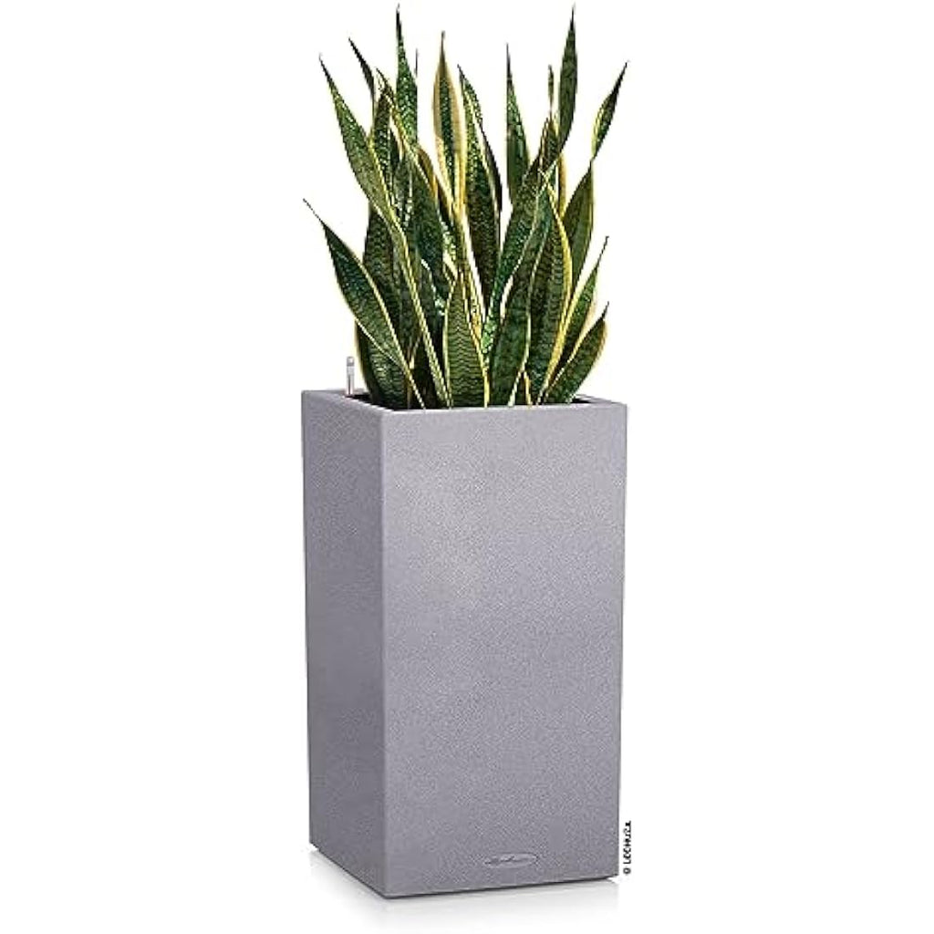 Lechuza Canto Stone 40 High Self-Watering Planter | Stone Grey Plastic