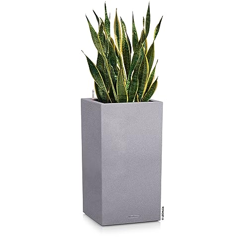 Lechuza CANTO Stone 30 Self-Watering High Planter | Stone Grey