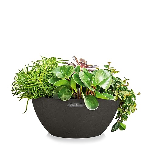 Lechuza Cubeto Stone 40 Self-Watering Planter | Graphite Black