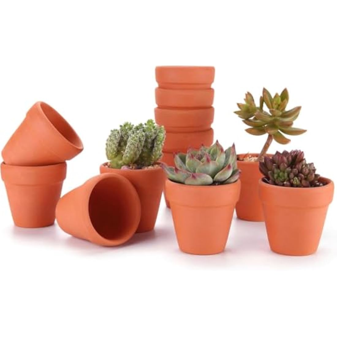 T4U Mini Terracotta Plant Pots - 12 Pcs Small Clay Pots for Succulents