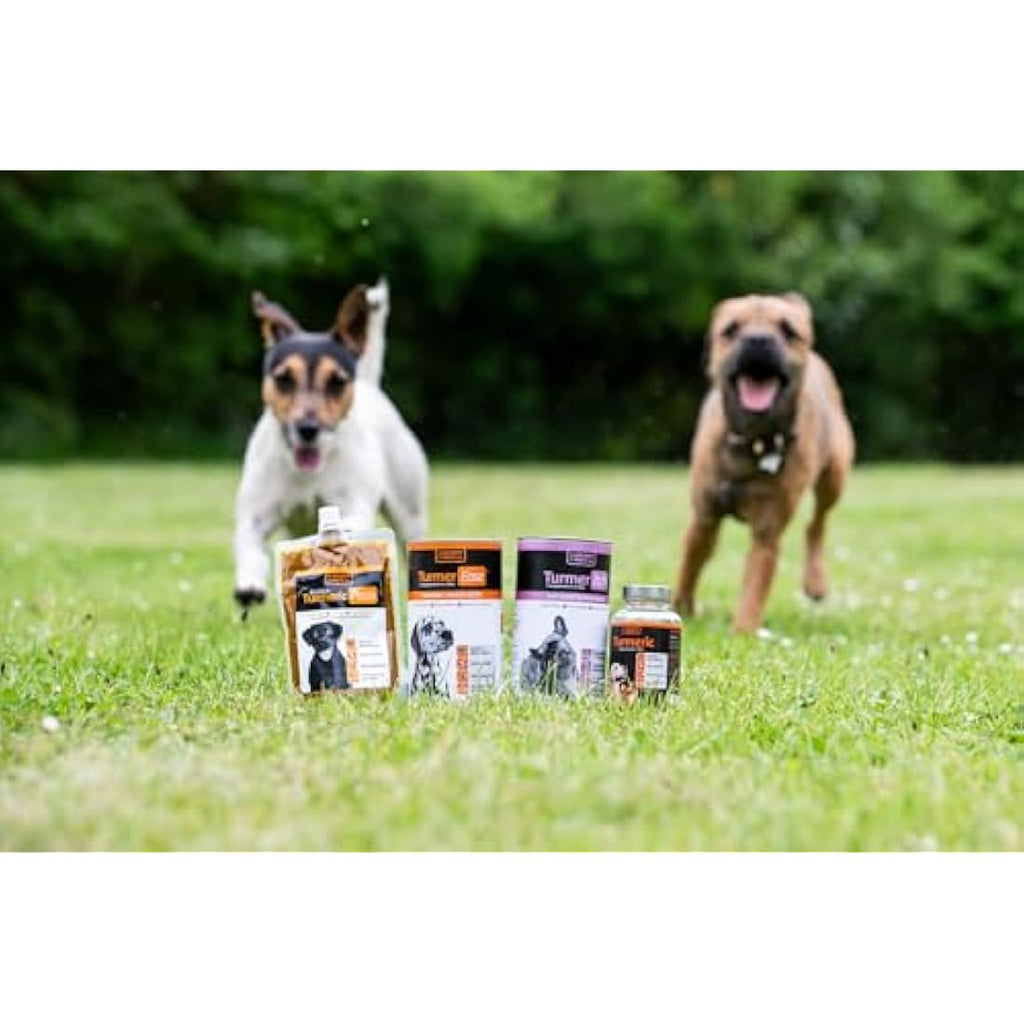TurmerEase Chicken & Turmeric Joint Supplements for Dogs & Cats