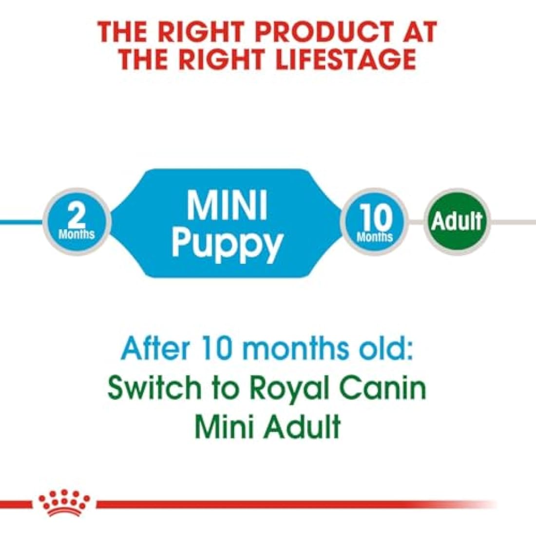 Royal Canin Mini Puppy Dry Food - Small Breed Kibble for Fussy Eaters 2kg