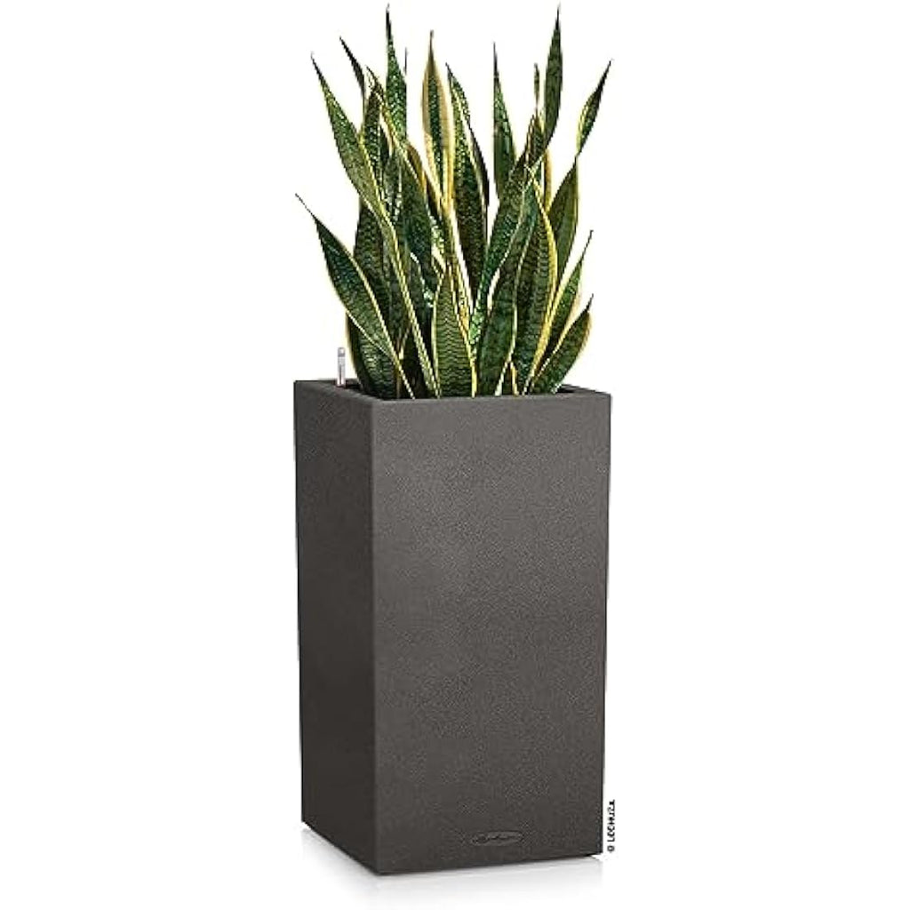 Lechuza CANTO Stone 40 High Self-Watering Planter | Graphite Black