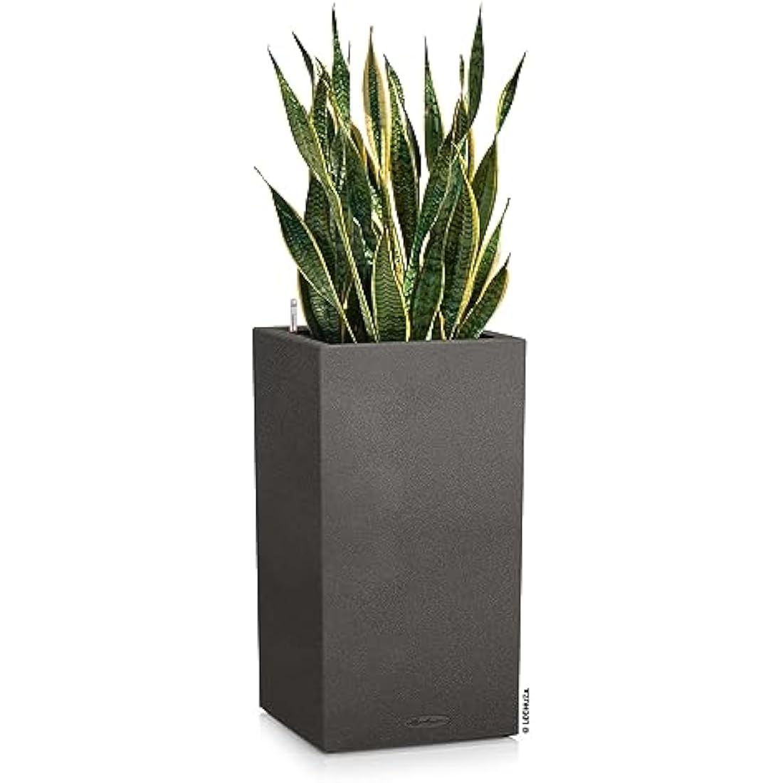 Lechuza CANTO Stone 40 High Self-Watering Planter | Graphite Black