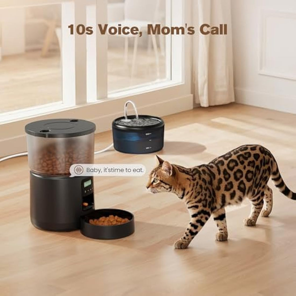 Automatic Cat Feeder and Water Fountain Set | 3L & 2.4L