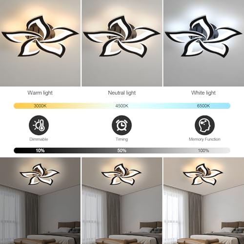 Comely Modern LED Ceiling Light – Dimmable Black Acrylic Lamp with Remote