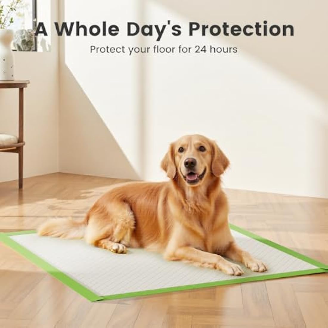 Gardner Pet Extra Large Puppy Pads | 70x85cm Super Absorbent (50 Pack)