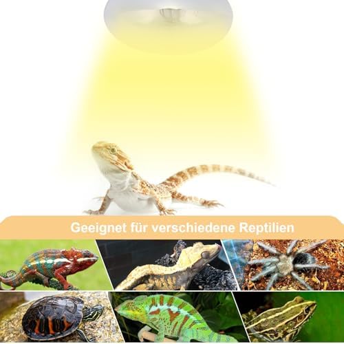 DERNORD Mercury Vapour Bulb - 160W UVA UVB Heat Lamp for Reptiles