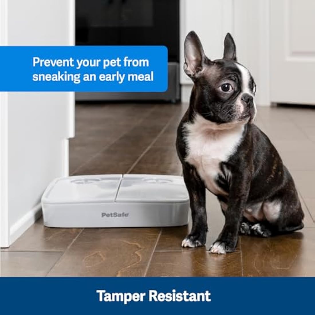 PetSafe 2 Meal Automatic Pet Feeder – BPA-Free Bowls for Cats & Dogs