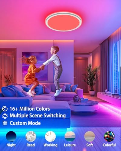 Peasur Smart RGB LED Ceiling Light - 24W Dimmable Flushmount Fixture