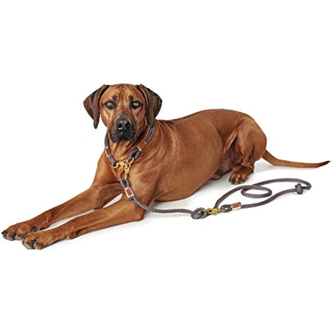 HUNTER Sansibar Rantum Adjustable Rope Dog Leash - Grey, 12mm x 200cm