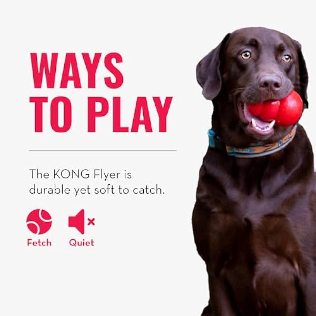KONG Flyer – Durable Natural Rubber Flying Disc Dog Toy for Small Dogs