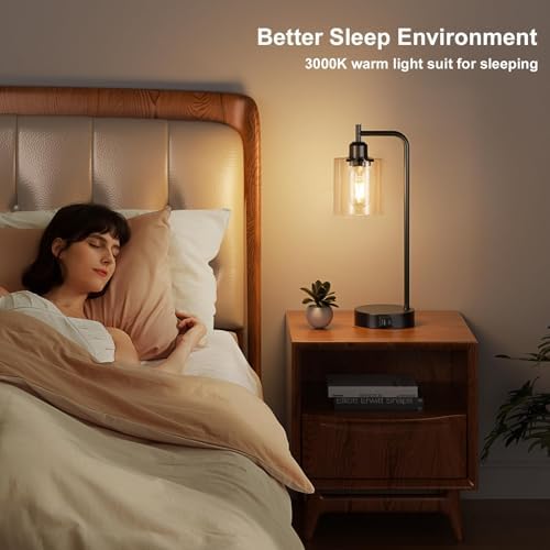 Aooshine Industrial Bedside Lamps Set of 2 – Touch Dimmable with USB-C
