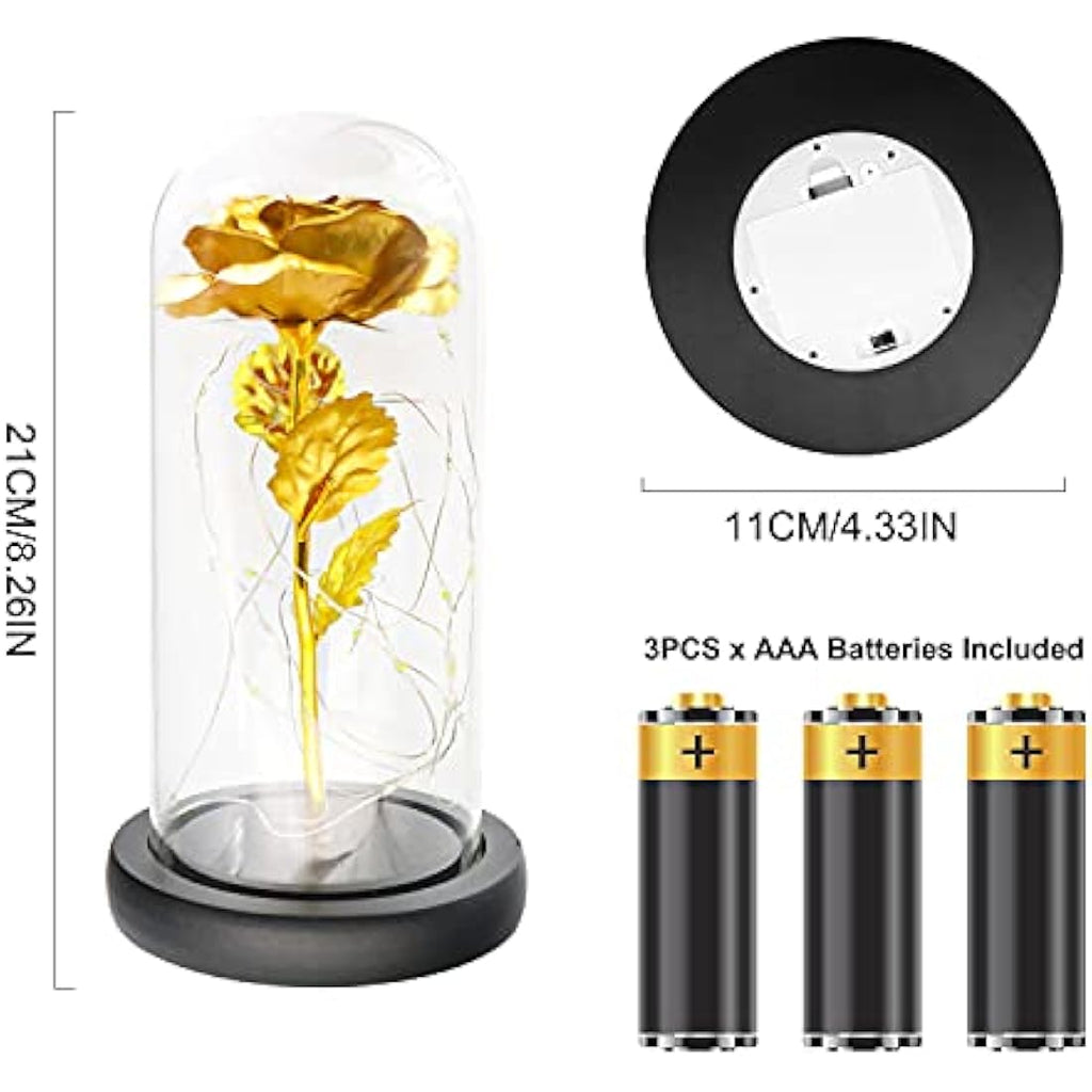 TINYOUTH 24K Gold Eternal Rose in Glass Dome with LED Lights | Jolof Store