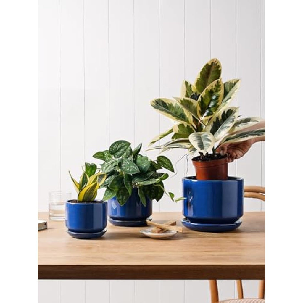 LE TAUCI Ceramic Planters - Set of 3 Indoor Flower Pots, Sapphire Blue