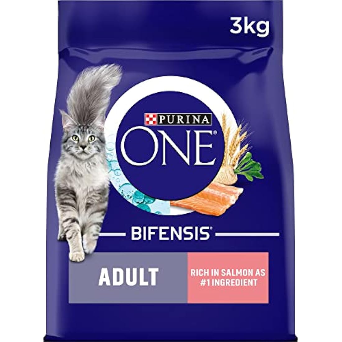 Purina ONE Adult Dry Cat Food – Salmon & Wholegrain Formula (3kg)