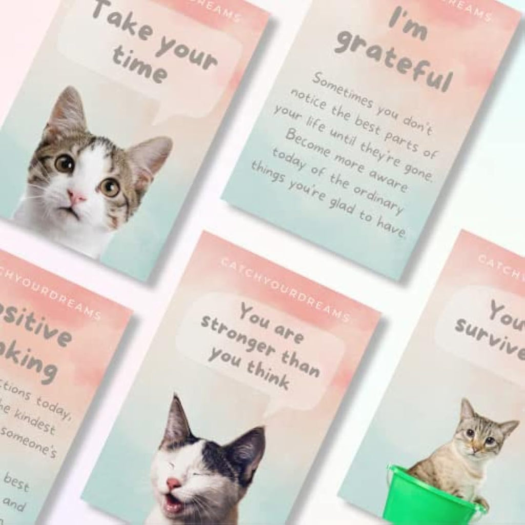 Jolof Store Cats Against Anxiety Cards | 50 CBT Affirmation Cards