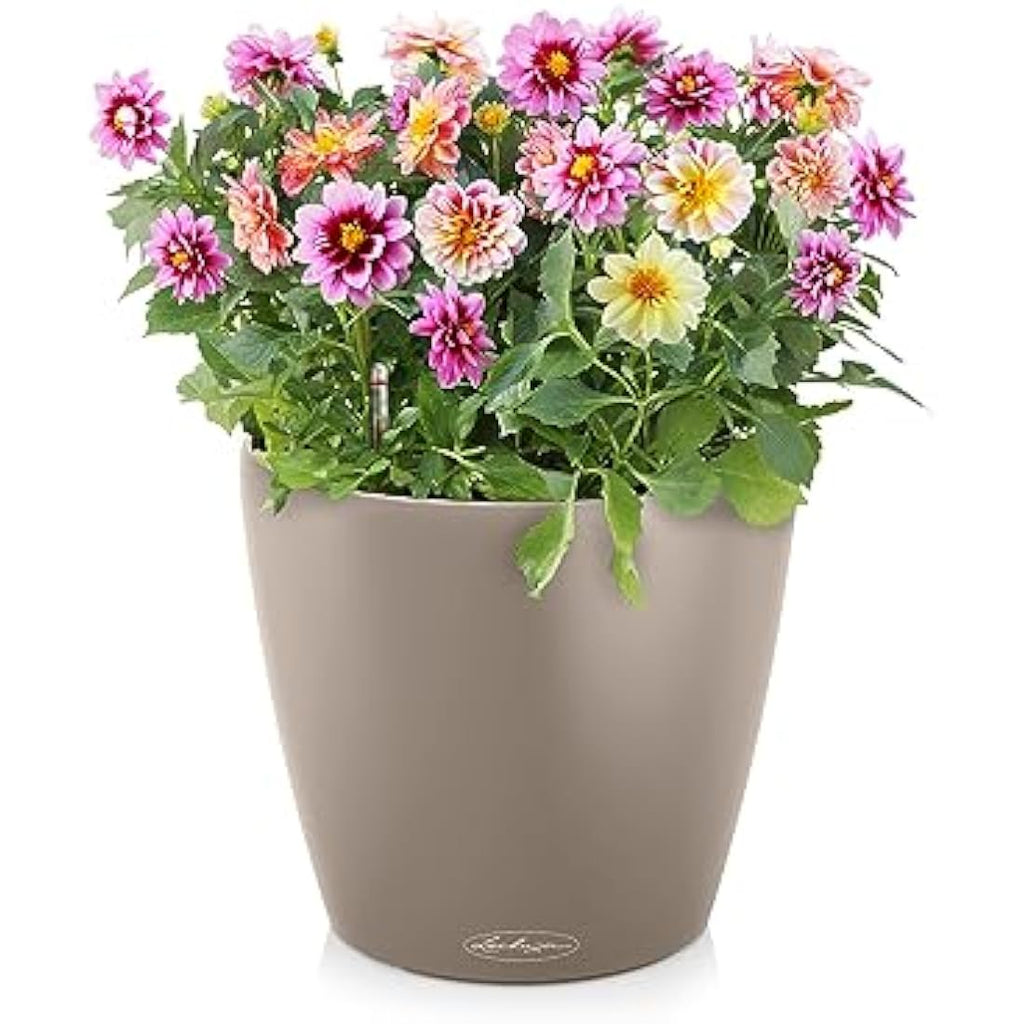 Lechuza CLASSICO Color 60 Self-Watering Planter | Sand Brown Poly-Resin