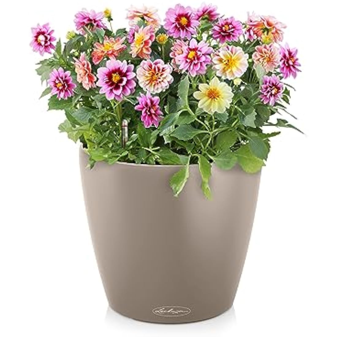 Lechuza CLASSICO Color 60 Self-Watering Planter | Sand Brown Poly-Resin