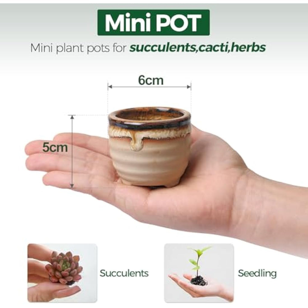 T4U Mini Ceramic Succulent Pots with Drainage - Set of 6 Porcelain Planters