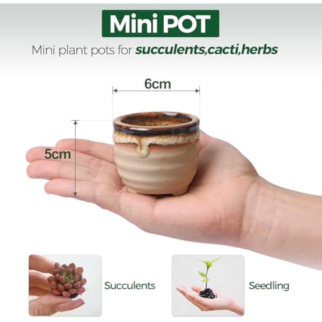 T4U Mini Ceramic Succulent Pots with Drainage - Set of 6 Porcelain Planters