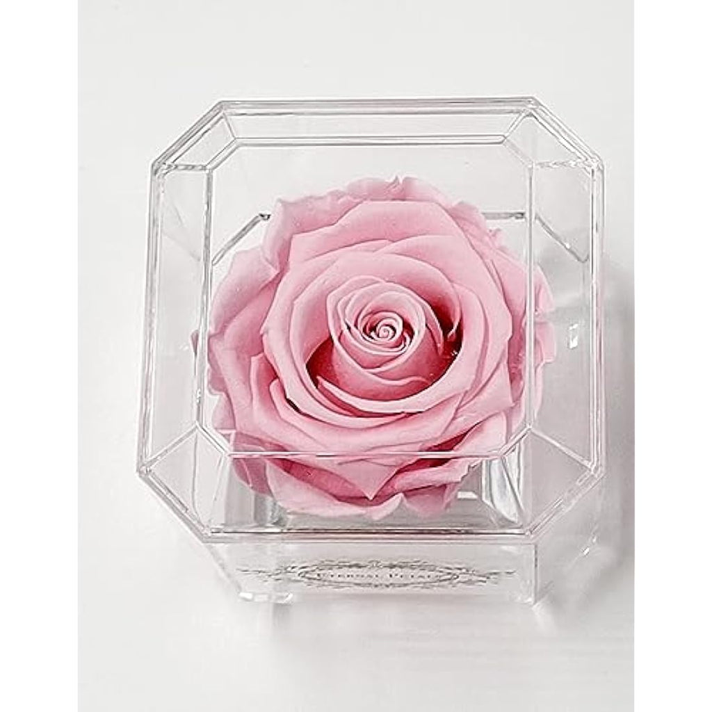 Preserved Pink Infinity Rose – Real Long-Lasting Flower