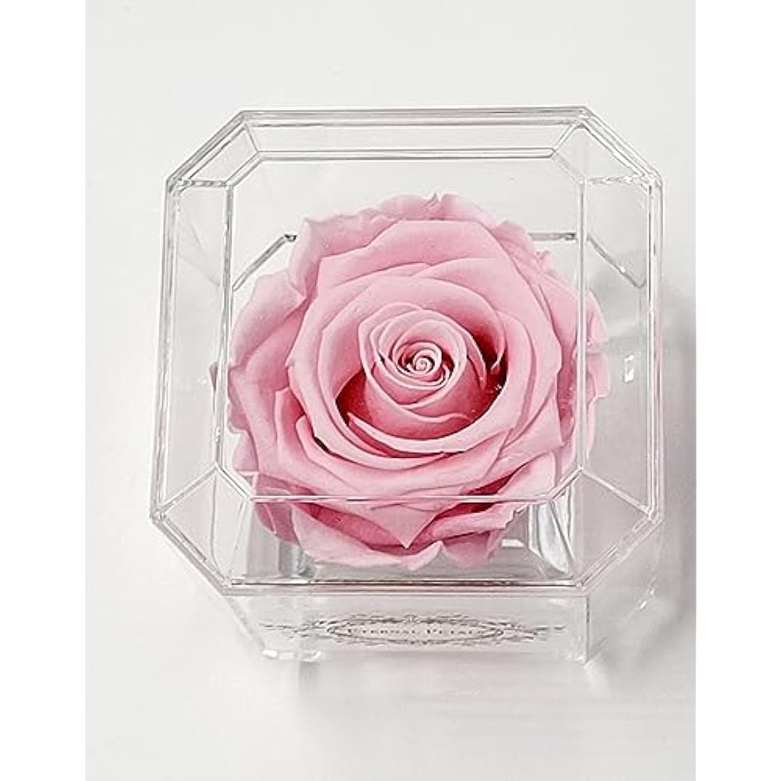Preserved Pink Infinity Rose – Real Long-Lasting Flower