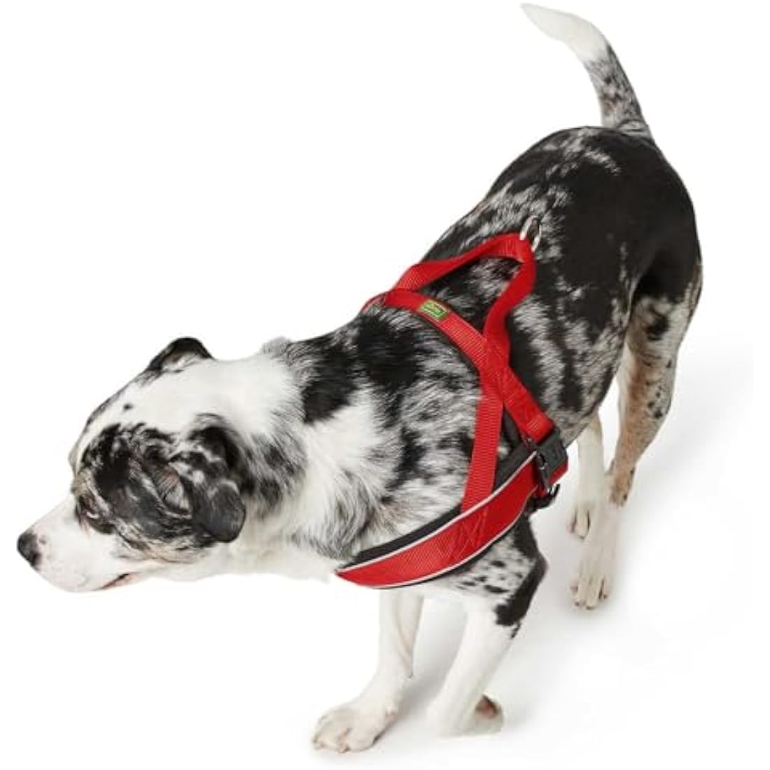 Hunter Racing Norwegian Dog Harness – Padded Reflective Brown, XL