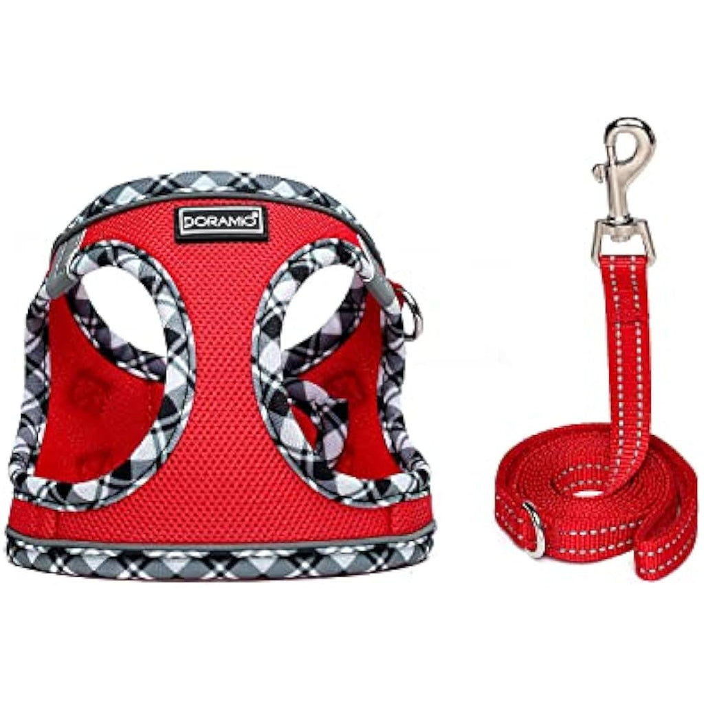 Step-in Dog Harness and Leash Set – Reflective Mesh Vest