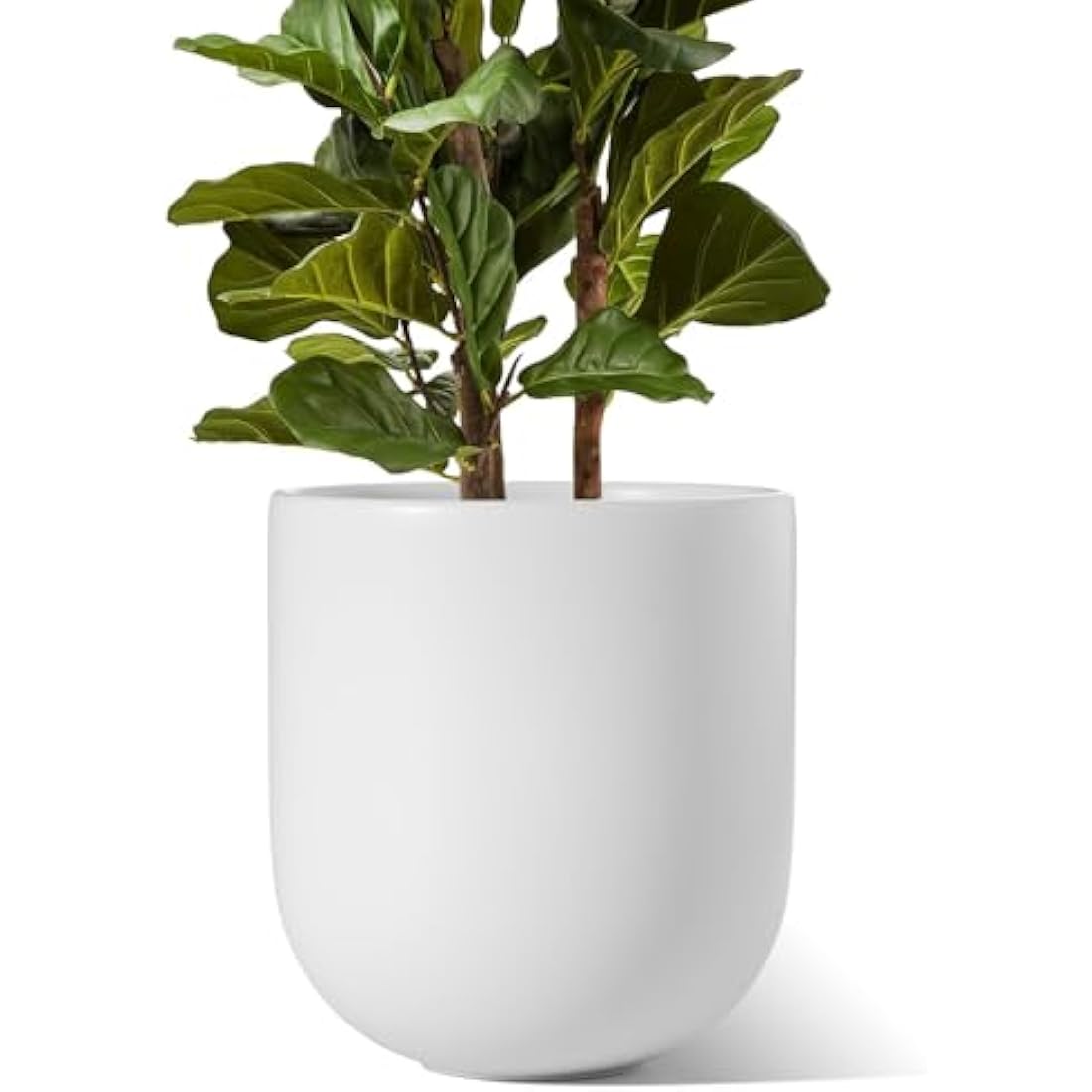 LE TAUCI 30cm Ceramic Large Planter - Indoor Plant Pot with Drainage