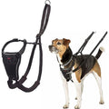 Halti No Pull Dog Training Harness – Reflective & Adjustable, Small, Black