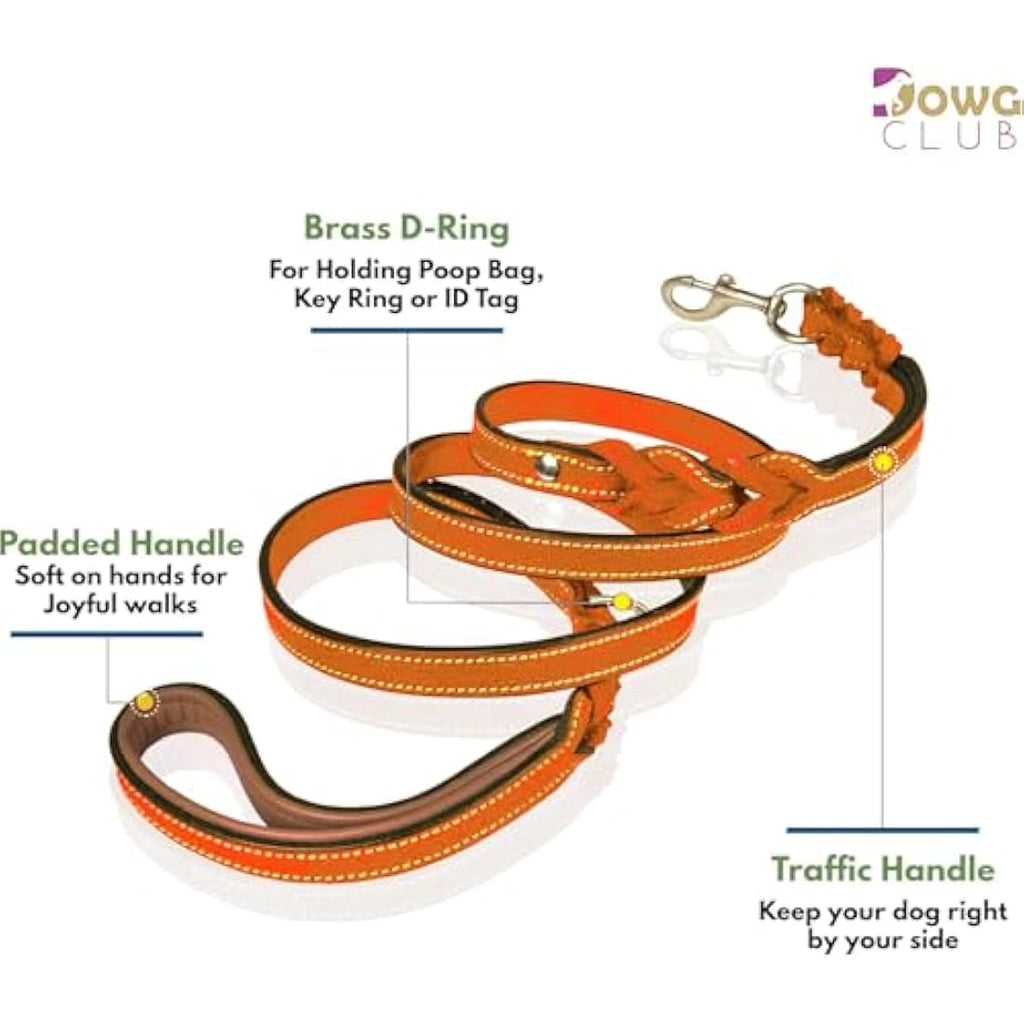 DowgClub 6' Leather Dog Leash | Dual Handle Braided Heavy Duty Lead - Tan