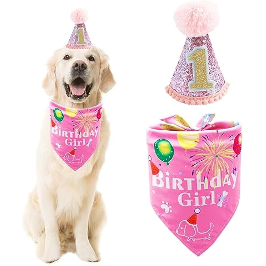 Dog 1st Birthday Hat and Bandana Set – Pink Pet Costume