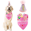 Dog 1st Birthday Hat and Bandana Set – Pink Pet Costume