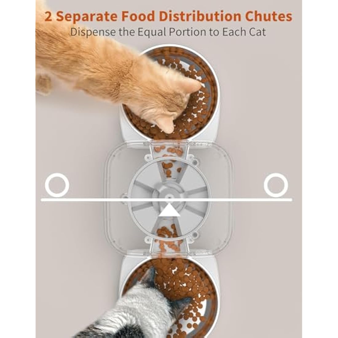 HoneyGuaridan 3.5L Automatic Cat Feeder for Two Cats | Dual Stainless Bowls