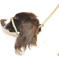 Figure 8 Anti-Pull Lead – 10mm Marine Rope Head Collar