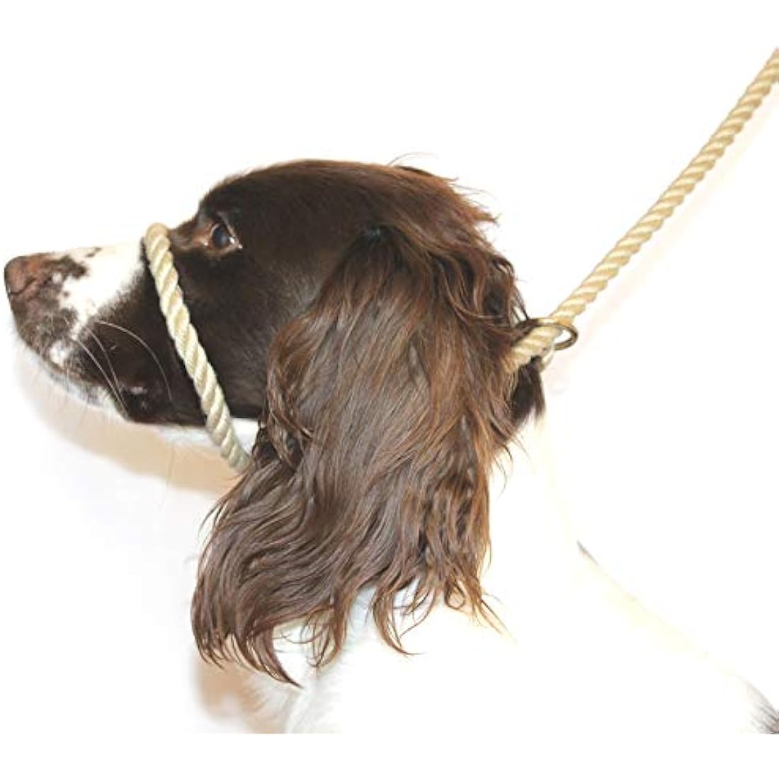 Figure 8 Anti-Pull Lead – 10mm Marine Rope Head Collar