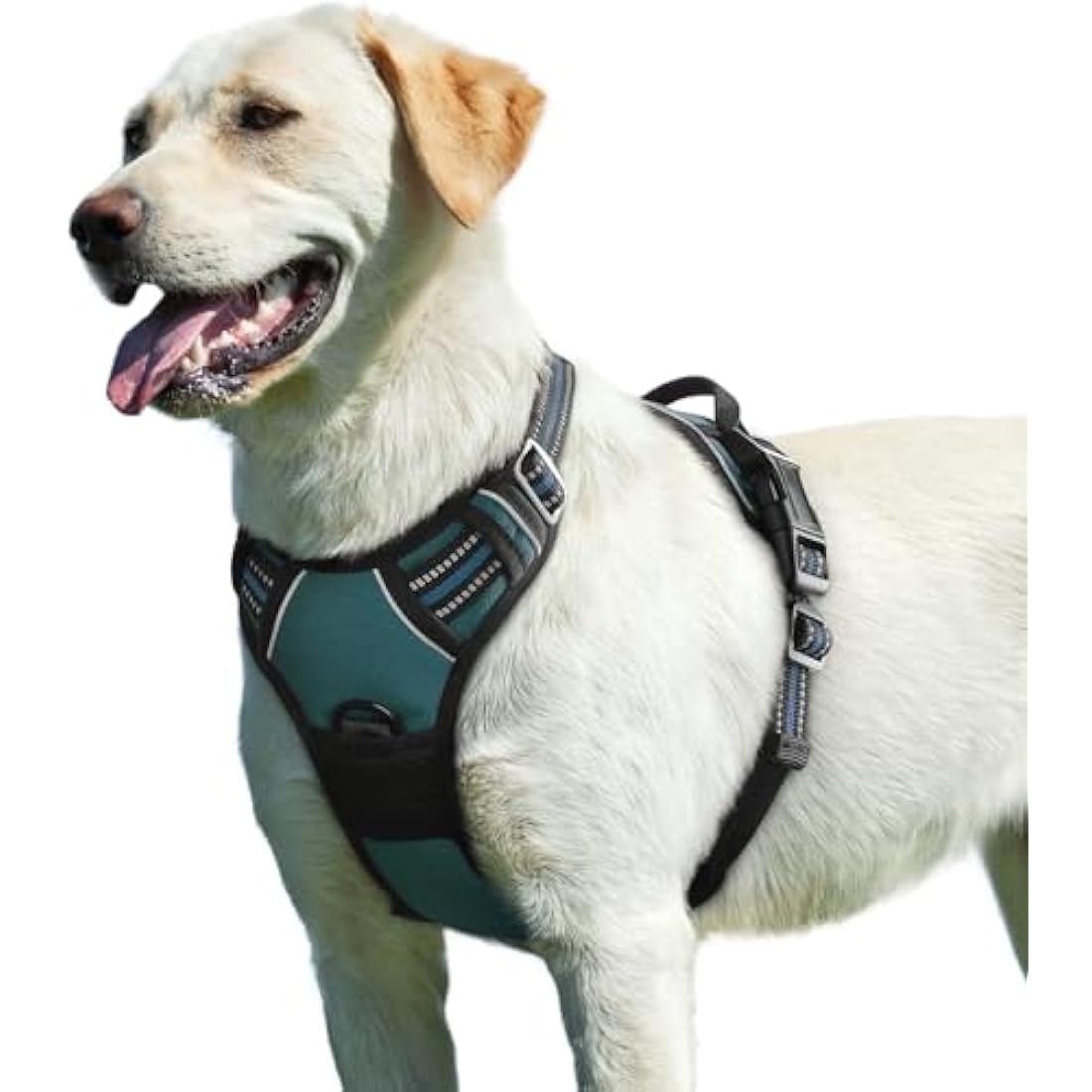 Eagloo No Pull Dog Harness | Large Reflective Padded Vest - Dark Green