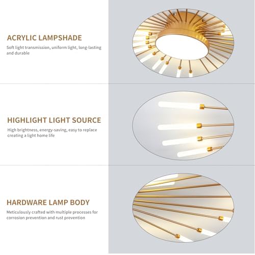 Modern LED Firework Ceiling Light | 43-Head Gold Flush Mount