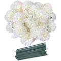 Rikyo 50pcs Silk Carnation Flower Heads with Stems for DIY Decor – Champagne