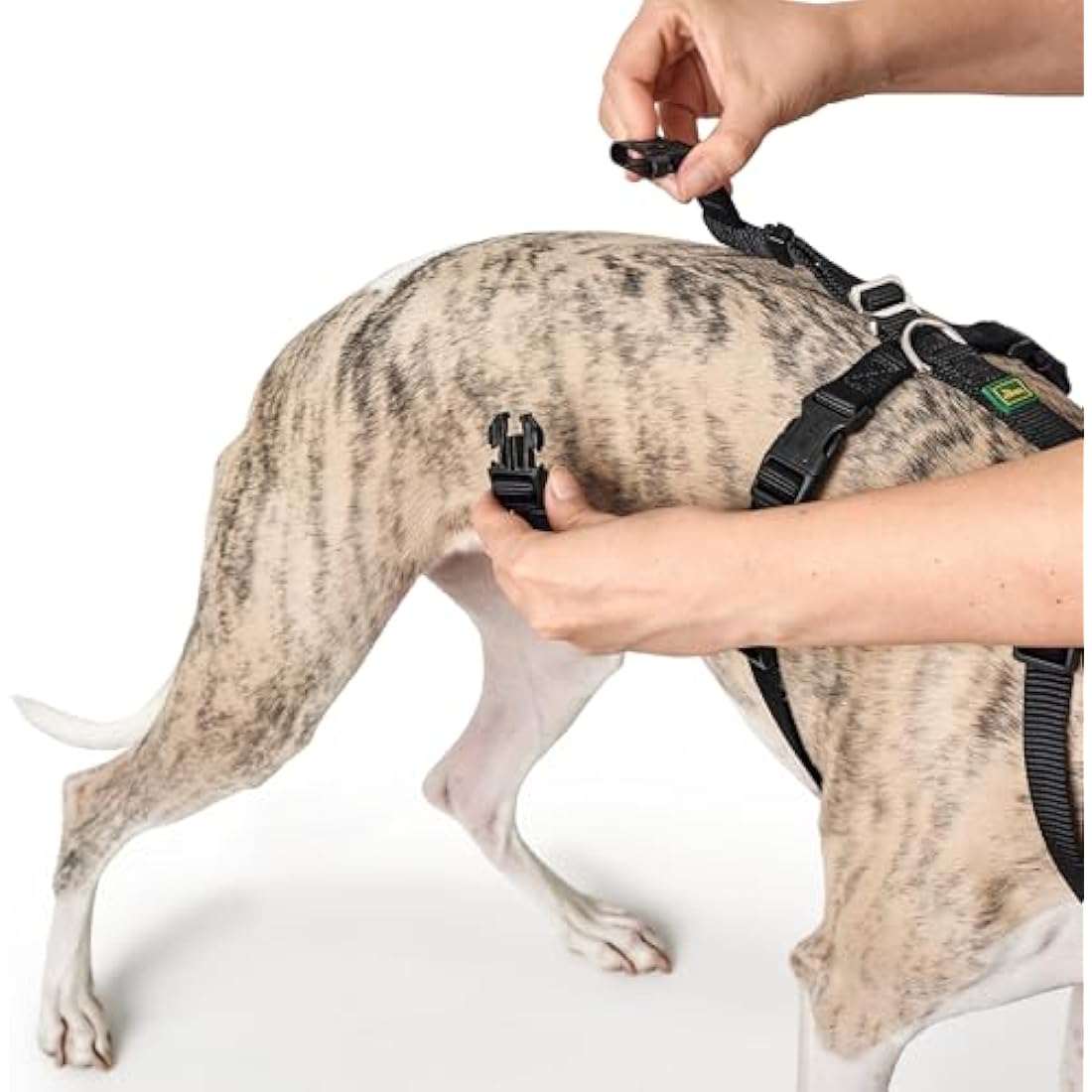 HUNTER Escape-Proof Dog Harness Vario Rapid – Black Nylon, Large
