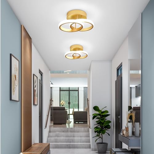 Jolof Store Modern LED Ceiling Light – 22W Gold Flush Mount 6000K
