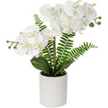 Briful White Artificial Orchid in Ceramic Pot | Faux Phalaenopsis Plant