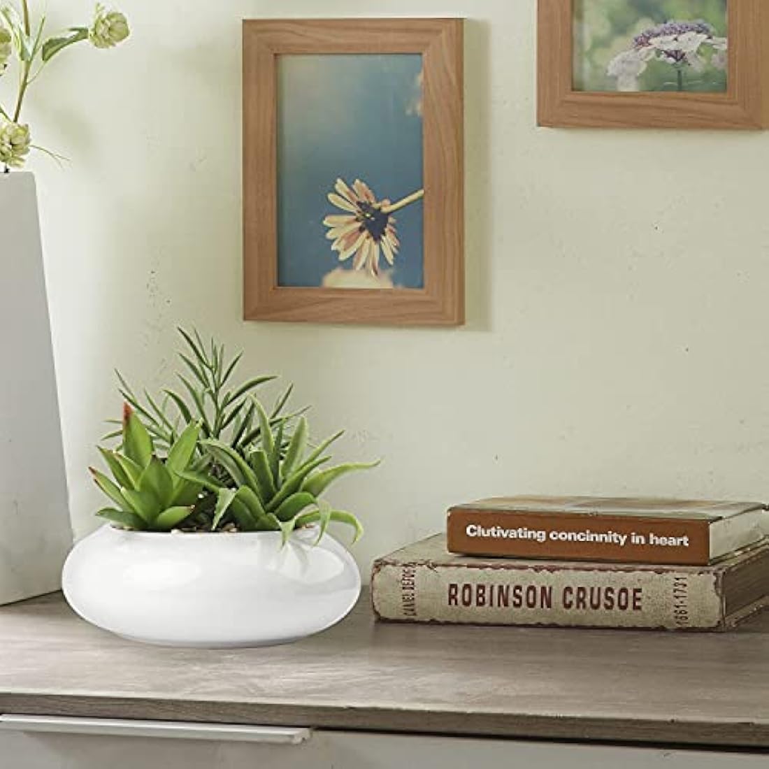 Briful Artificial Succulent Plants in White Ceramic Pot | Faux Desk Decor