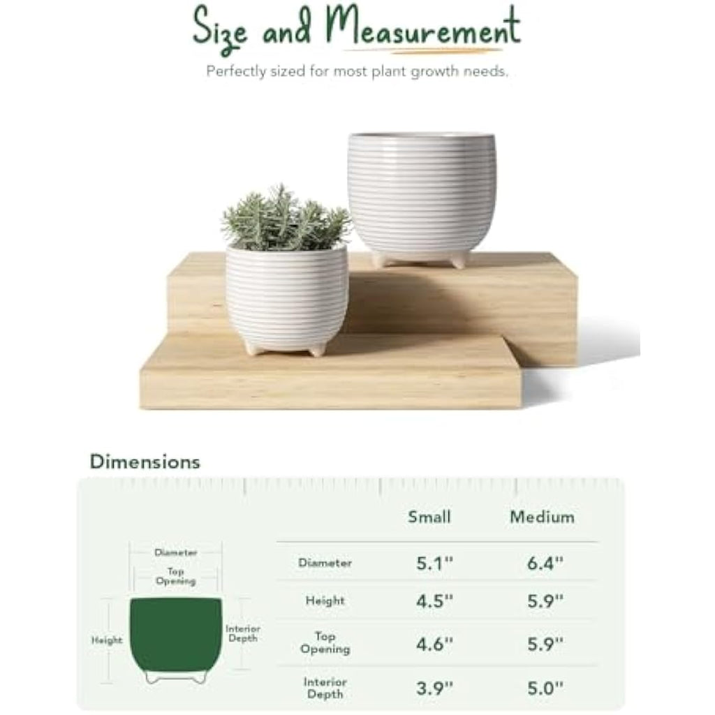 LE TAUCI Ceramic Plant Pots | Footed Indoor Planters with Drainage