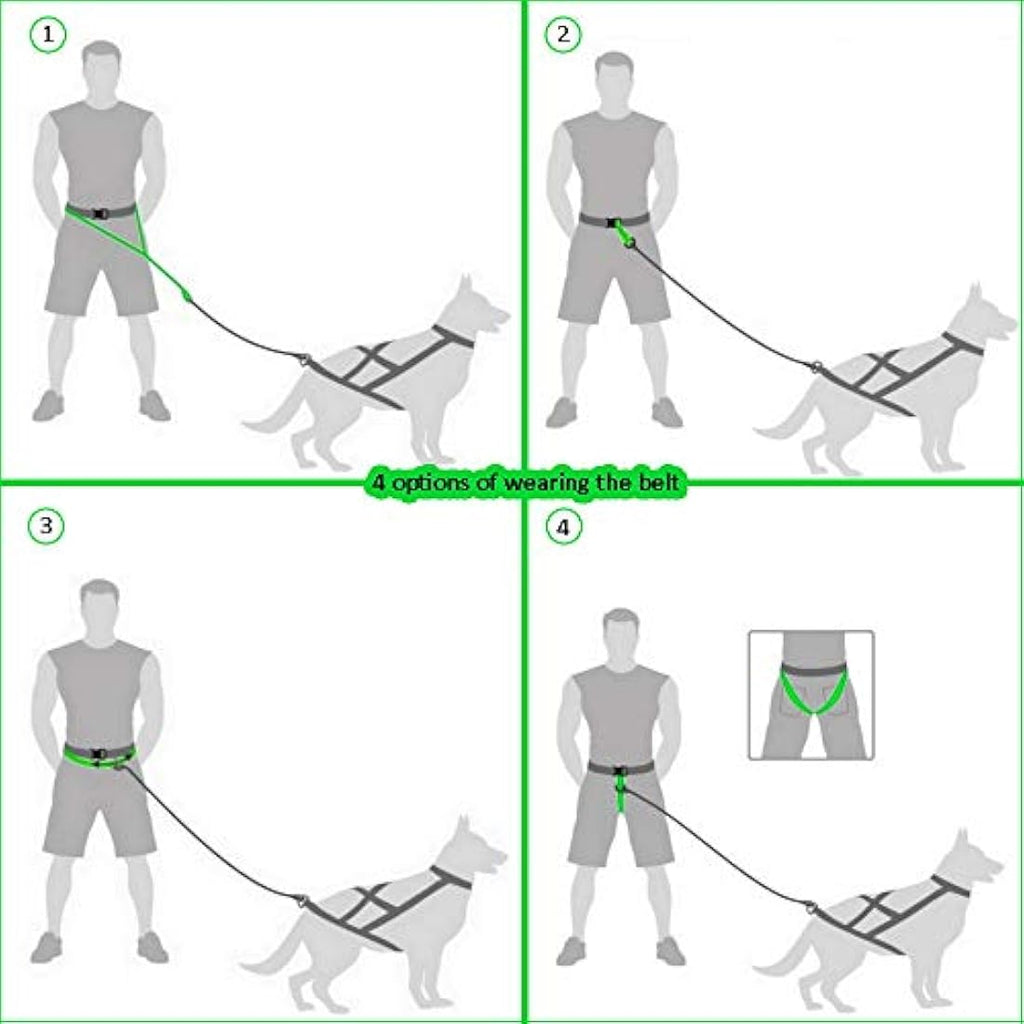 Dingo Canicross Belt | Adjustable Hands-Free Dog Running Belt - Black