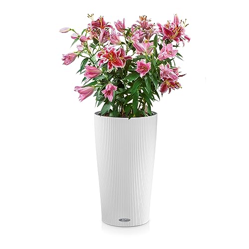Lechuza Cilindro Color 32 Self-Watering Planter | White Plastic Pot