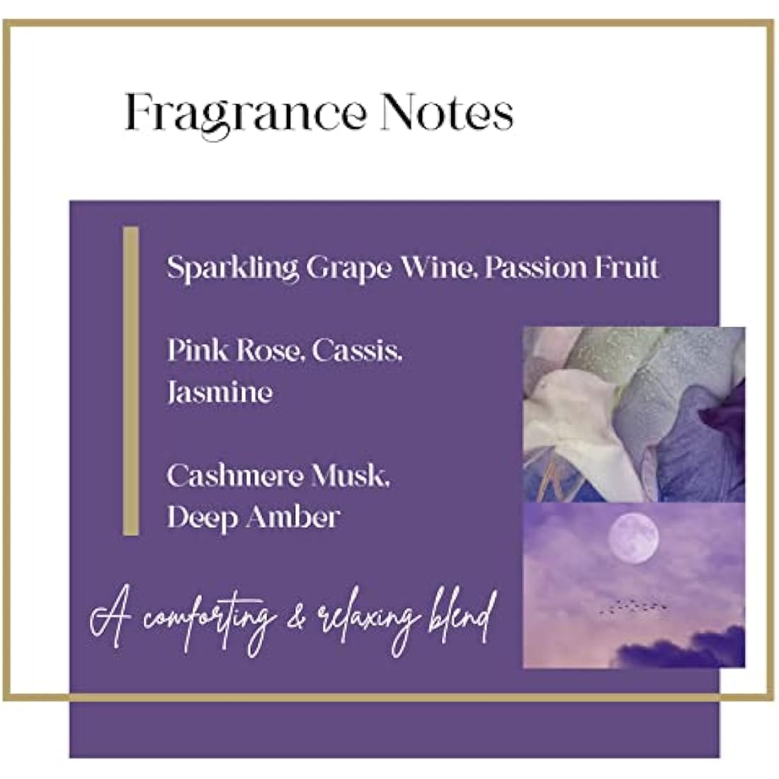 Imperial Leather Foamburst Plum Blossom & Cashmere Body Wash - 6 x 200ml