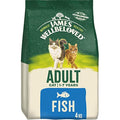 James Wellbeloved Hypoallergenic Fish Dry Cat Food - Natural, 4kg