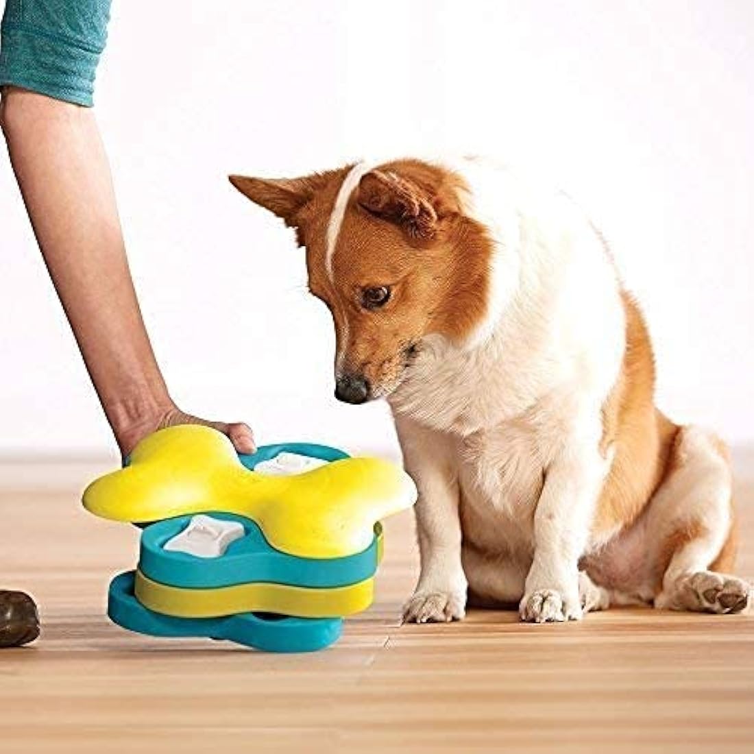 Nina Ottosson Dog Tornado Puzzle Toy – Level 2 Interactive Treat Dispenser